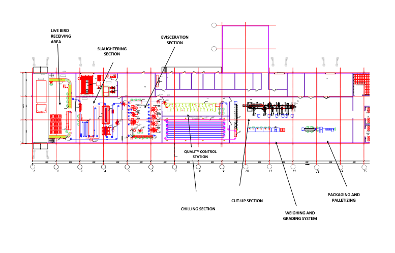 Typical Automatic Poultry Processing Line